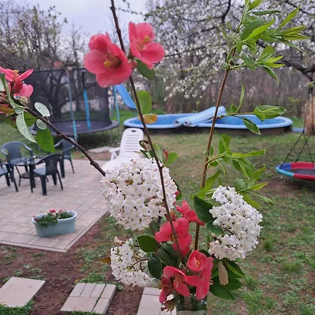 Apartment Malibu Balaton North